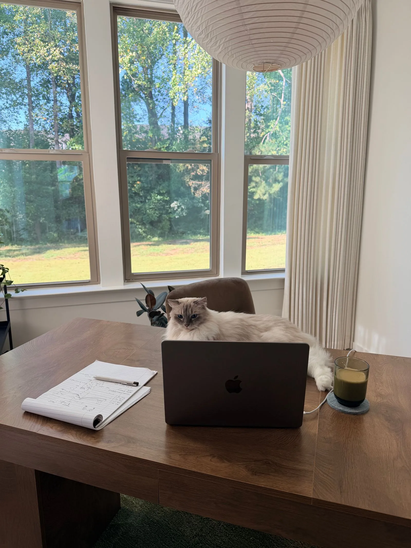 Aya, the HI Lab’s Chief Focus Officer, beside a laptop